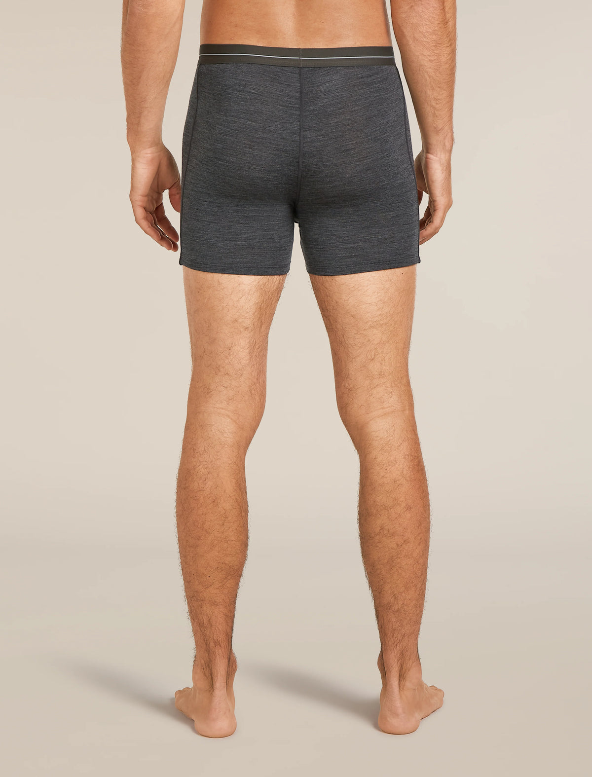 Men's Merino 150 Anatomica Boxers wFly