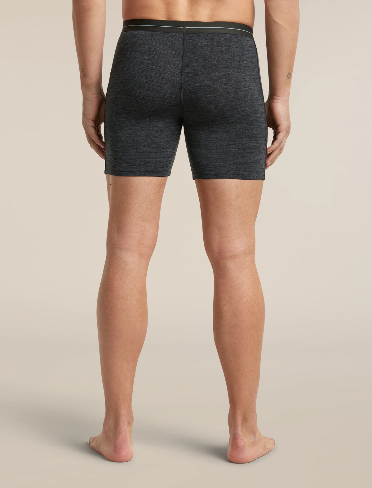 Men's Merino 150 Anatomica Long Boxers