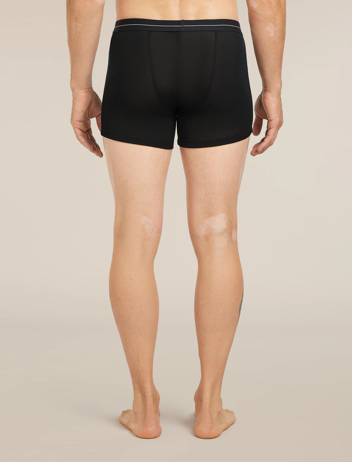 Men's Men's Merino 175 Everyday Thermal Boxers wFly