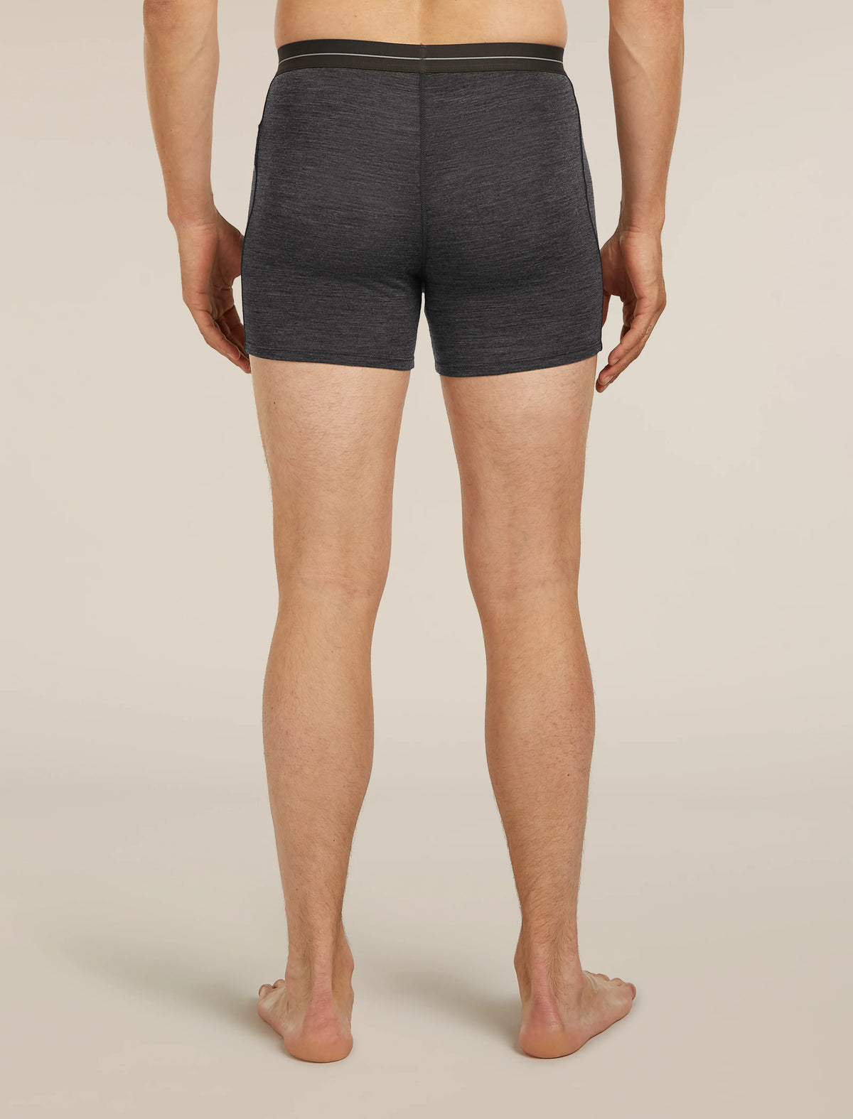 Men's Merino 150 Anatomica Boxers