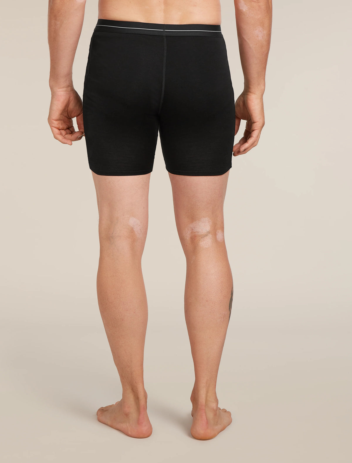 Men's Merino 150 Anatomica Long Boxers