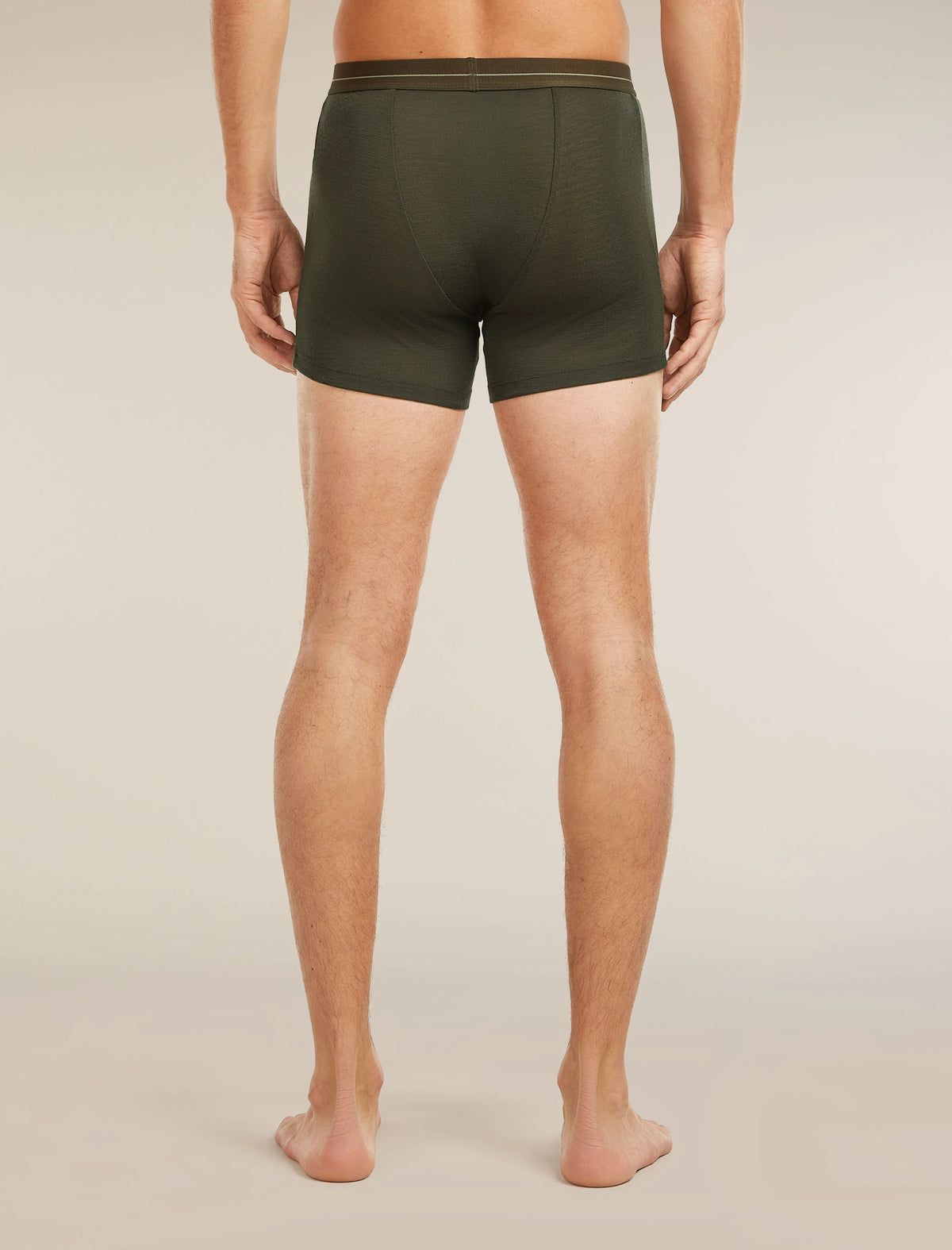Men's Merino 175 Everyday Boxers wFly