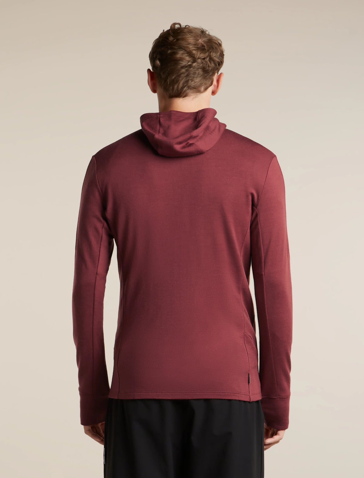 Men's Merino 260 Quantum Long Sleeve Zip Hoodie