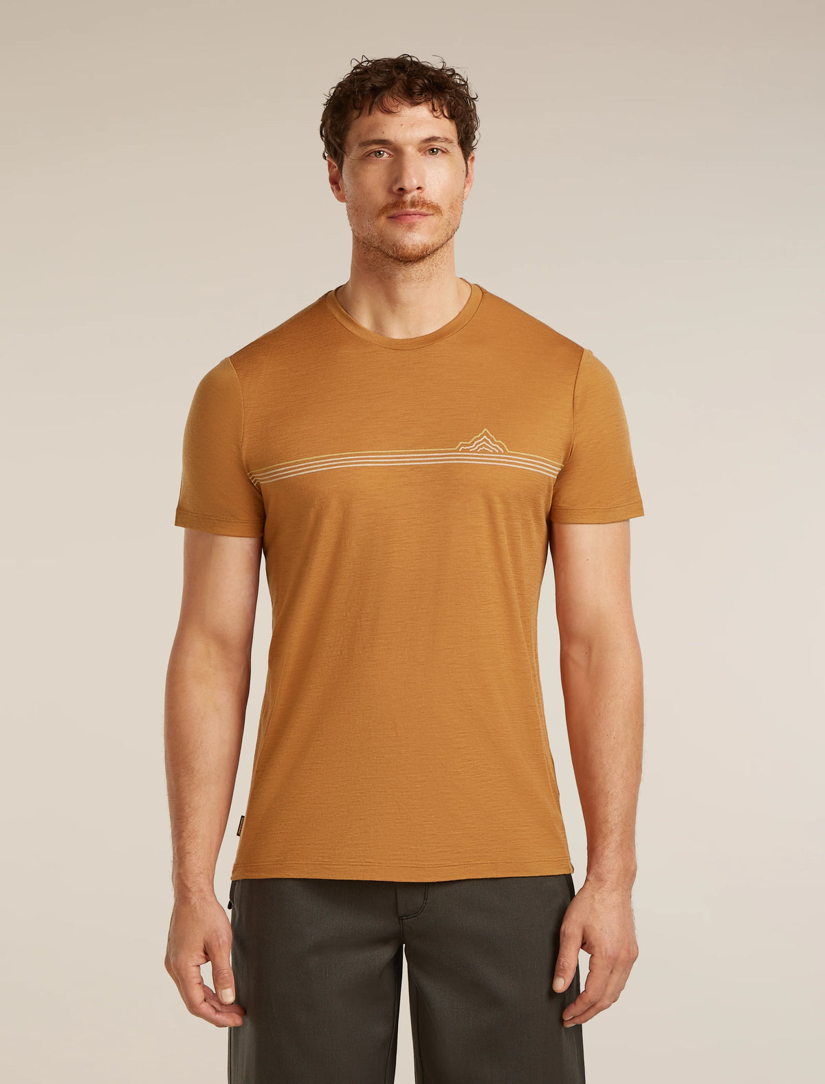 Men's Merino 150 Tech Lite Short Sleeve Tee Range Stripes