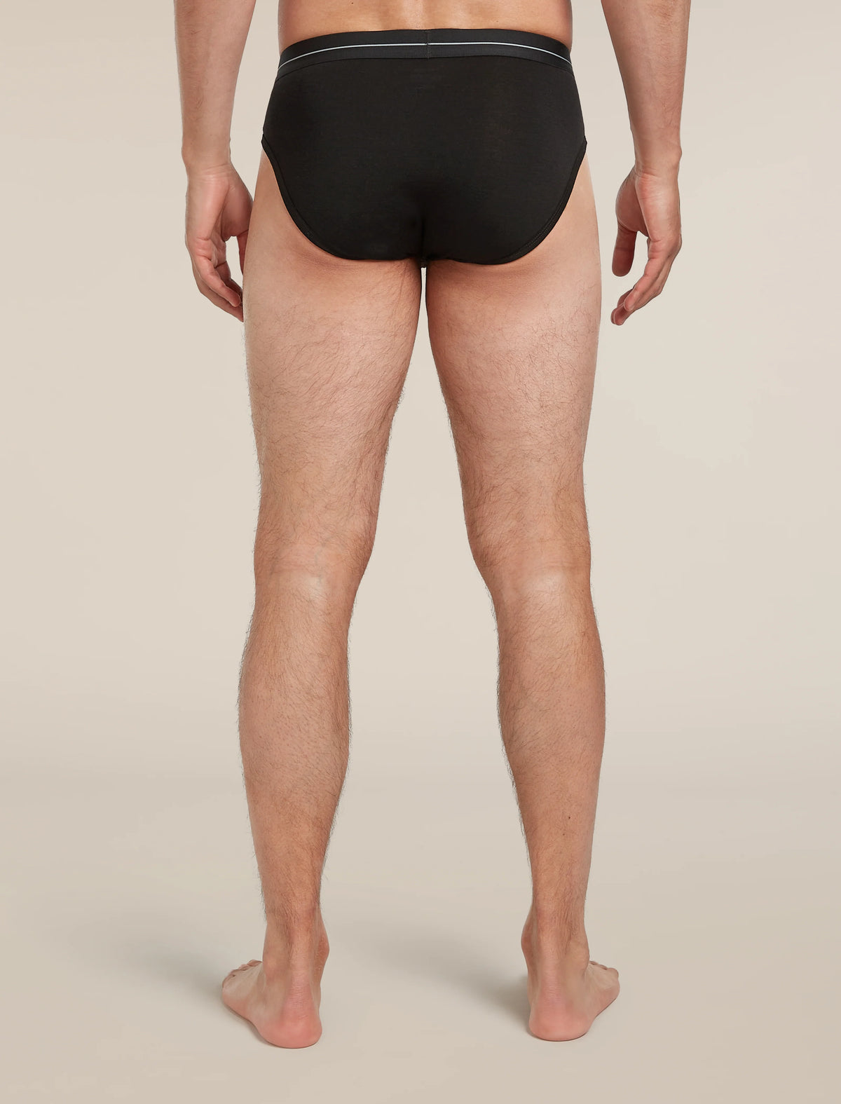 Men's Merino 150 Anatomica Briefs