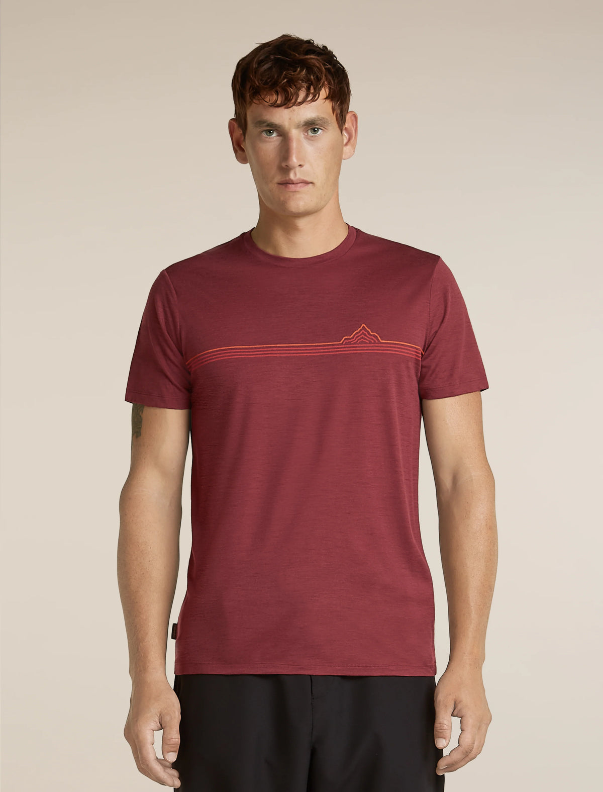 Men's Merino 150 Tech Lite Short Sleeve Tee Range Stripes